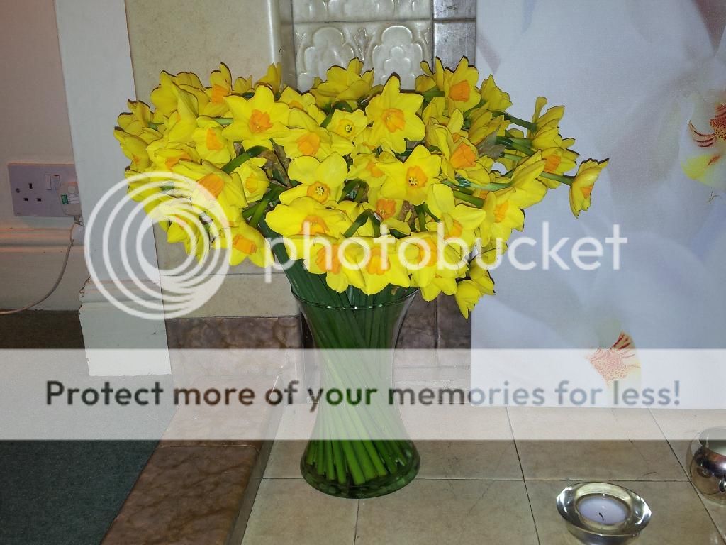 IMG_20140316_193331_zpsfg150tgn.jpg