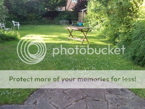 20140606_184153_zps7jp4eepi.jpg