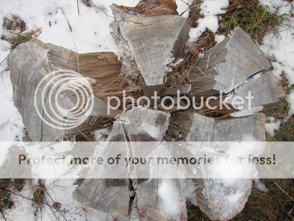 Hardest Wood to Split? Page 4 Firewood Hoarders Club