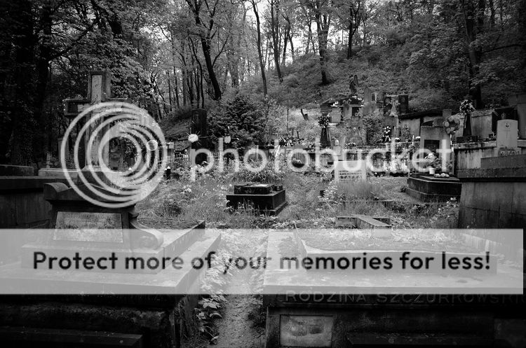 photo 7.jpg