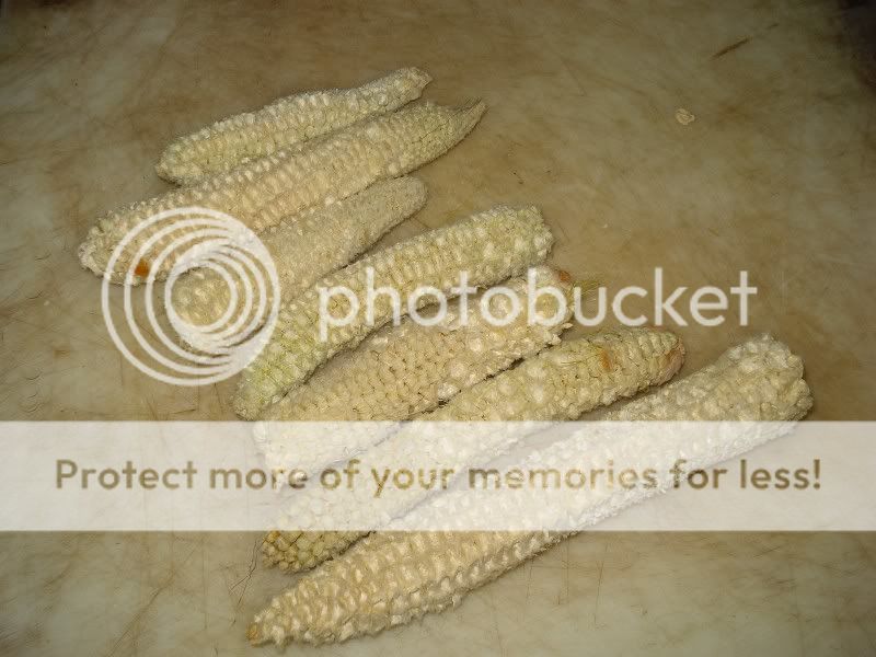Corncob fire starters a critique Bushcraft USA Forums